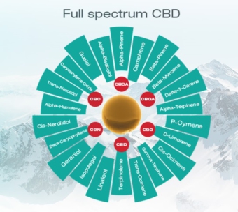 Full spectrum CBD olie taart grafiek